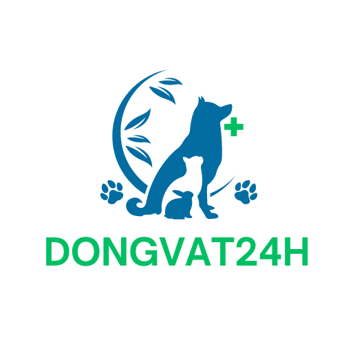 dongvat24h.com