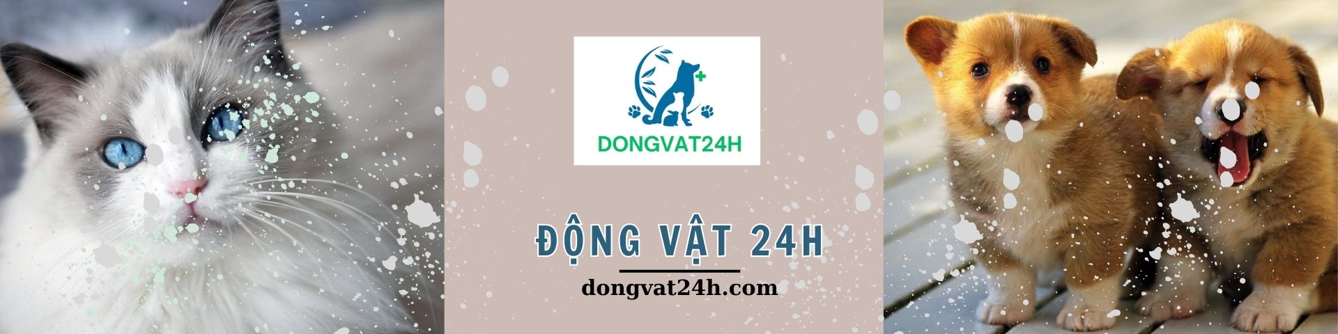 ĐỘNG VẬT 24H